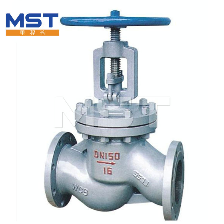 Cryogene Globe Valve